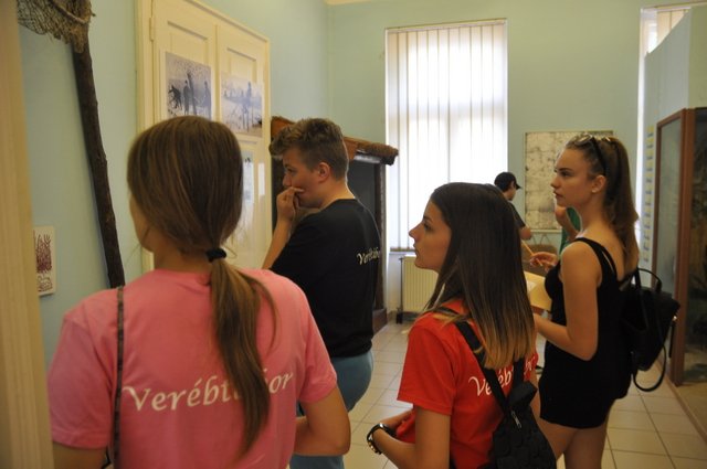 Verébtábor 2018 28